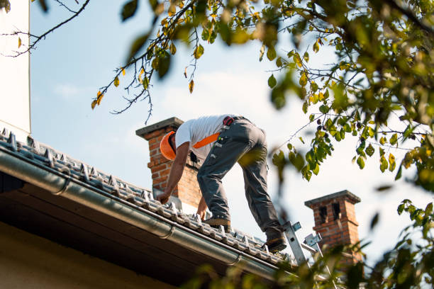 Best Roof Moss and Algae Removal  in Bressler, PA