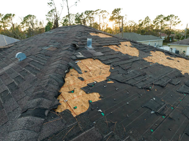 Best Chimney Flashing Repair  in Bressler, PA
